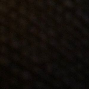 Meet your Posher, Leo